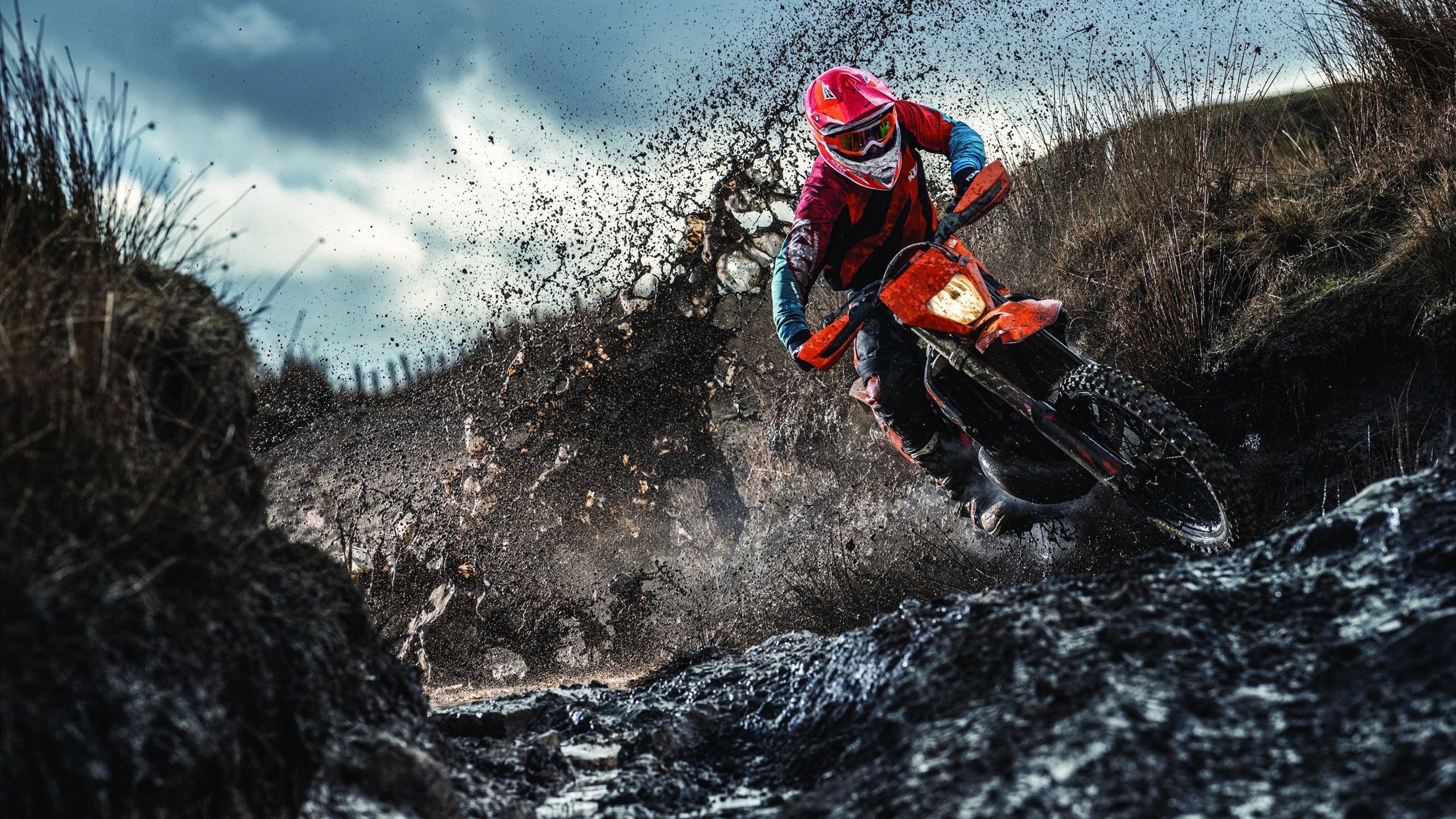 绿茵场与乒乓台的双重奏，葡萄牙铁骑碾压奥地利，樊振东展绝对统治力