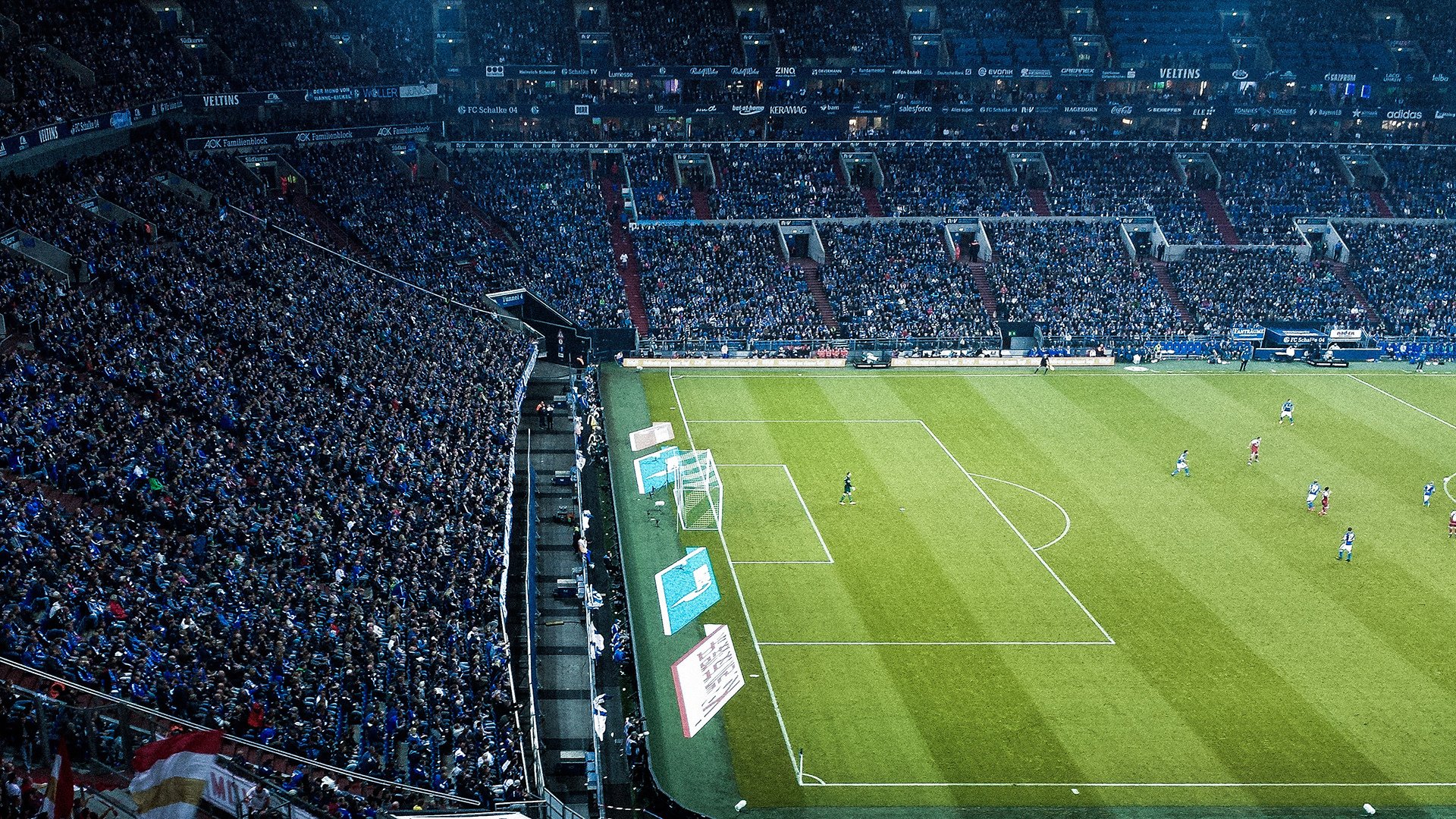 多元赛场上的胜利交响，法国队轻取韩国队，奥恰洛夫带队书写团队传奇