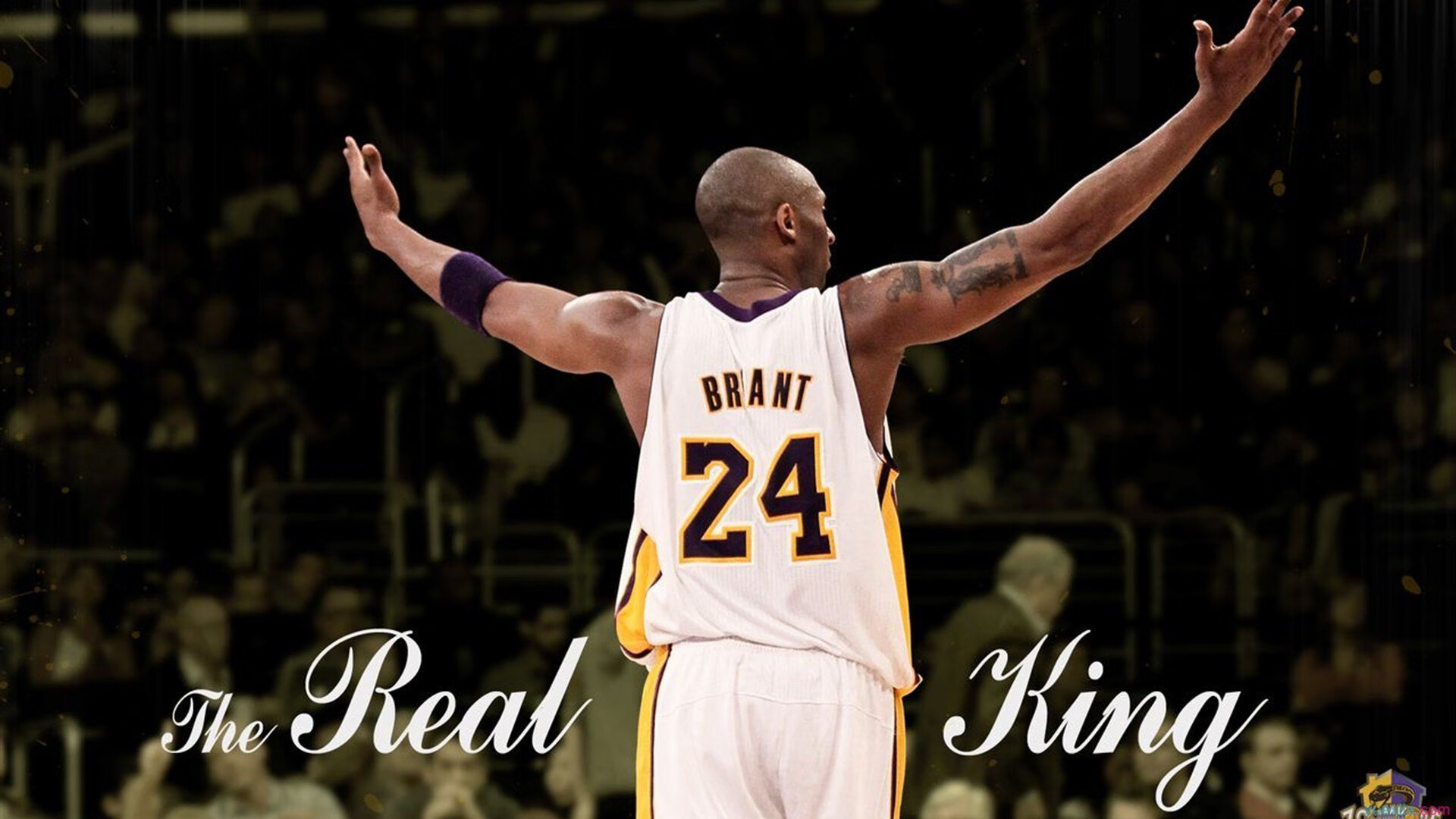 范弗利特末节狂飙导演逆转,奇才客场力克广厦显韧性